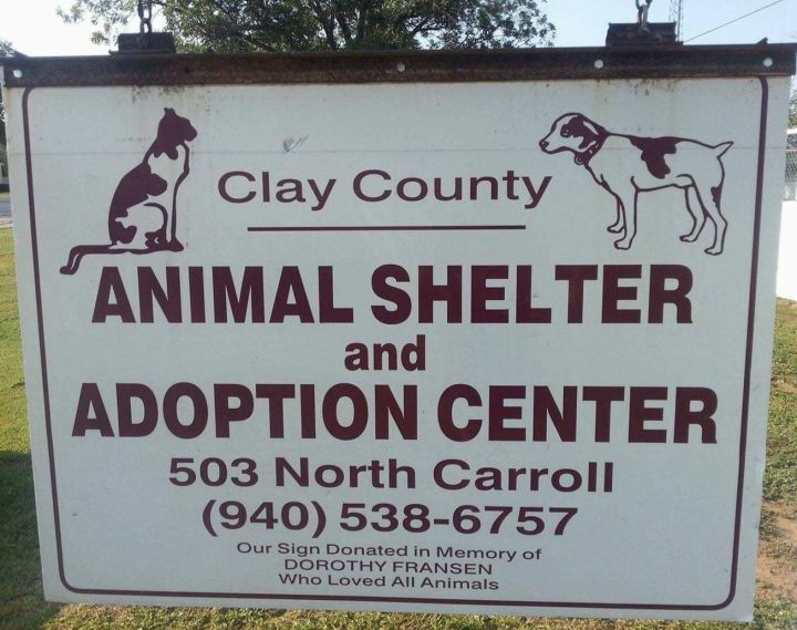 Pets for Adoption at Clay County Animal Shelter, Inc., in Henrietta, TX |  Petfinder
