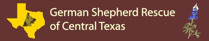 German Shepherd Rescue Central Texas