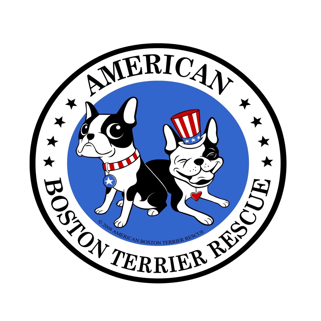 American Boston Terrier Rescue