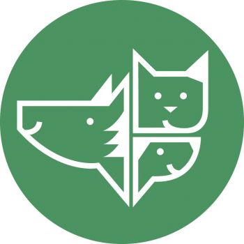 Pets For Adoption At Humane Society Of North Texas In Fort Worth Tx Petfinder