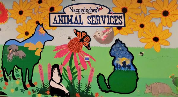 Nacogdoches Animal Services and Adoption Center