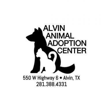 We are located at 550 W HWY 6 in Alvin, TX!