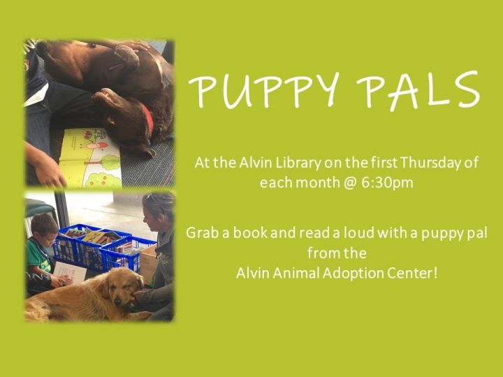 Join us for Puppy Pals at the Alvin Library!