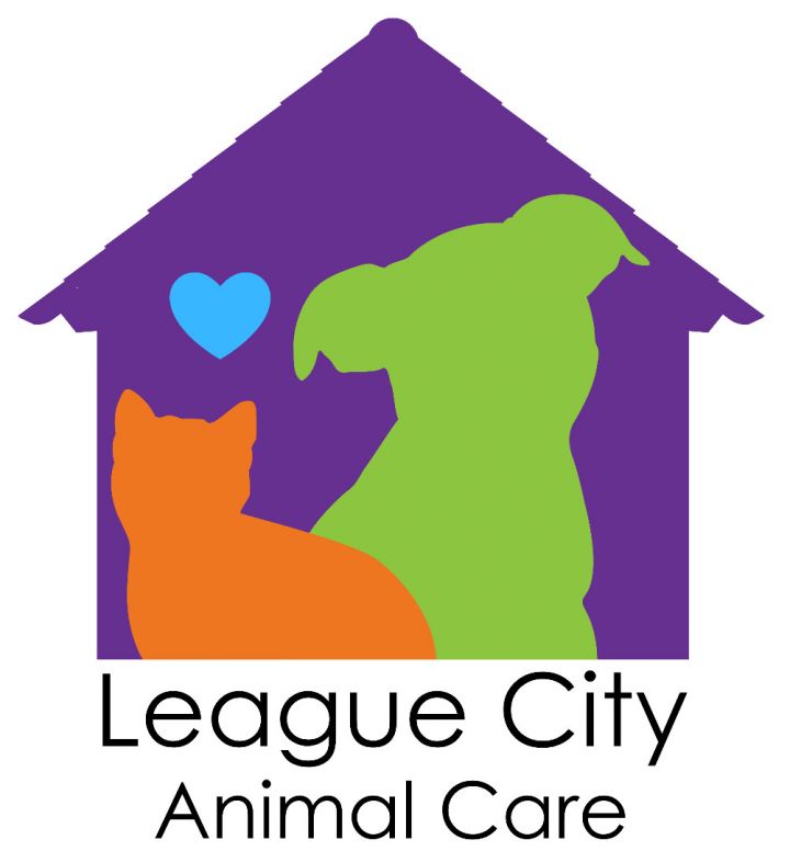 Pets for Adoption at League City Animal Shelter, in League ...