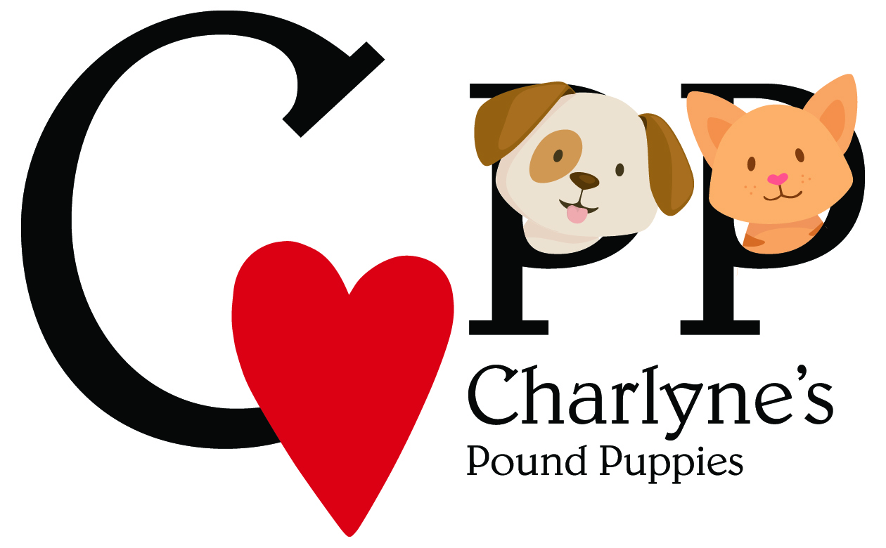 Charlynes Pound Puppies