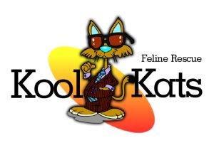 Kool Kats Feline Rescue and Adoptions