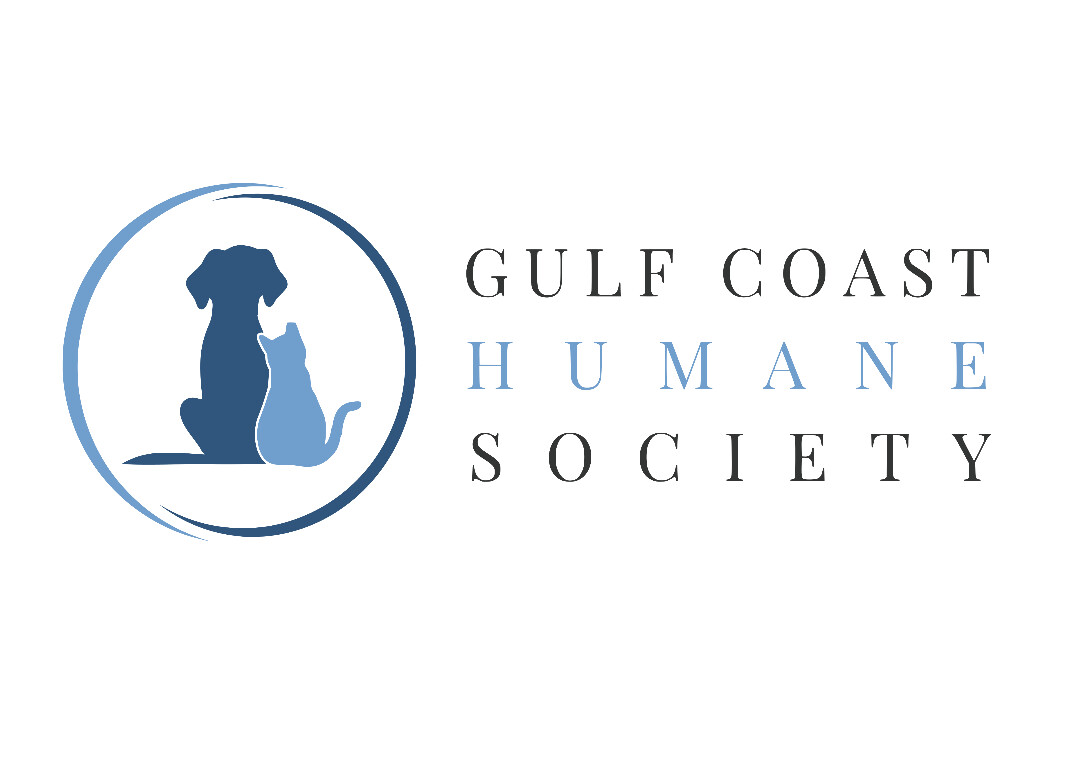 gulf coast humane society corpus christi