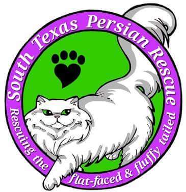 South Texas Persian Rescue