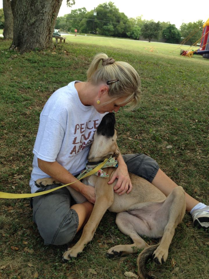 Pets for Adoption at Heart of Texas SPCA, in San Antonio ...