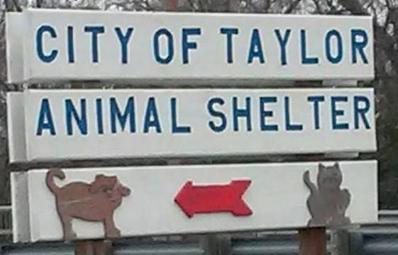 City of Taylor Texas Animal Shelter