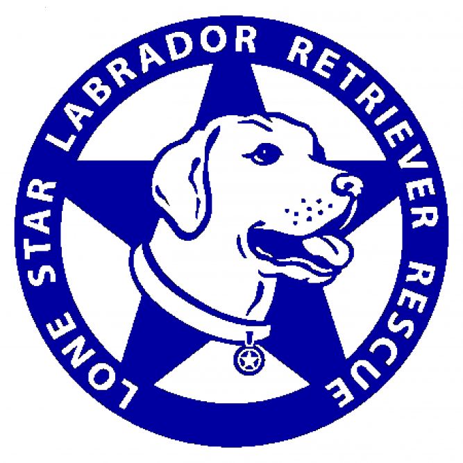 Lone Star Labrador Retriever Rescue