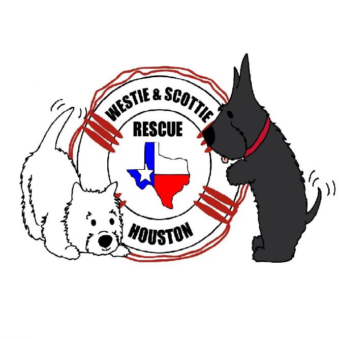 Westie and Scottie Rescue Houston