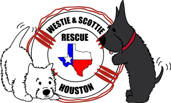 Westie and Scottie Rescue Houston
