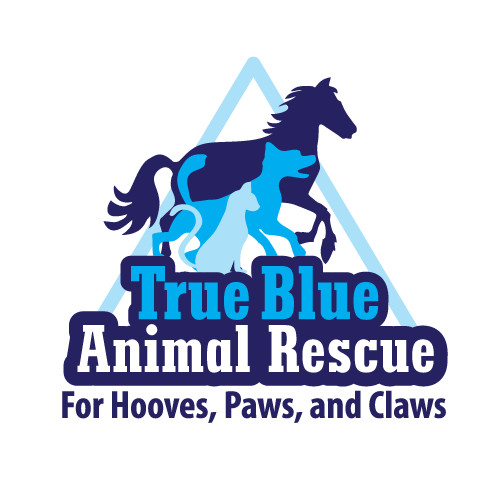 True Blue Animal Rescue