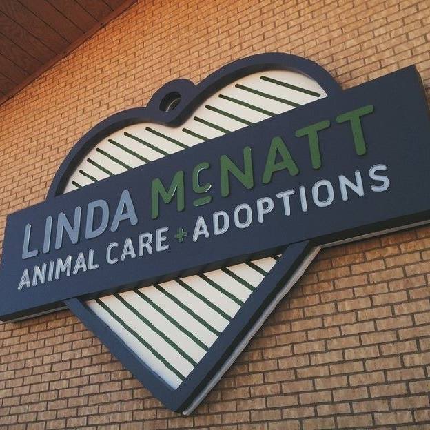 Pets for Adoption at City of Denton Animal Services, in Denton, TX