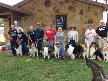 2017 DFW Collie Rescue Reunion