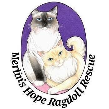 Merlin's Hope Ragdoll Rescue