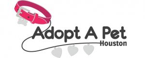 Adopt A Pet Houston.org