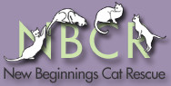 New Beginnings Cat Rescue