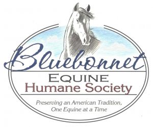 Bluebonnet Equine Humane Society