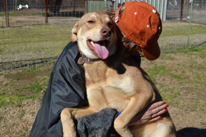 Texas Best Choices Animal Rescue