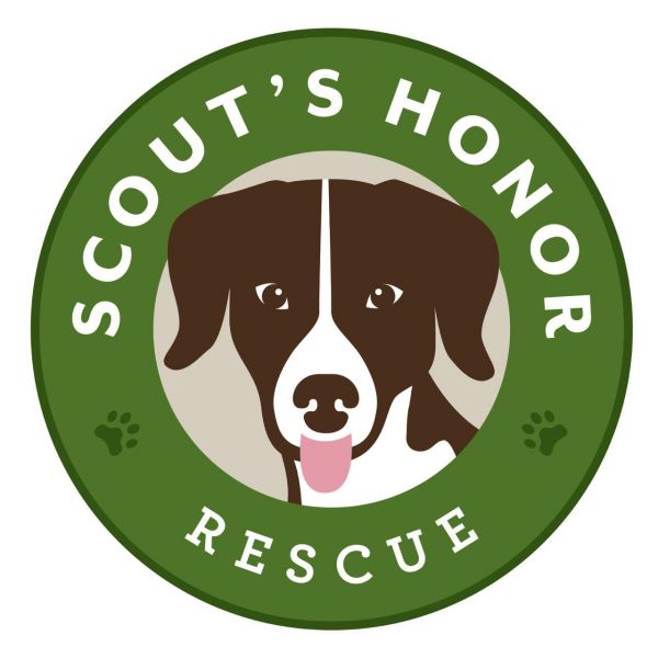 Scouts Honor Rescue Inc.