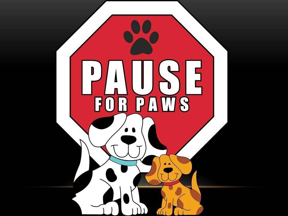 Pause for Paws