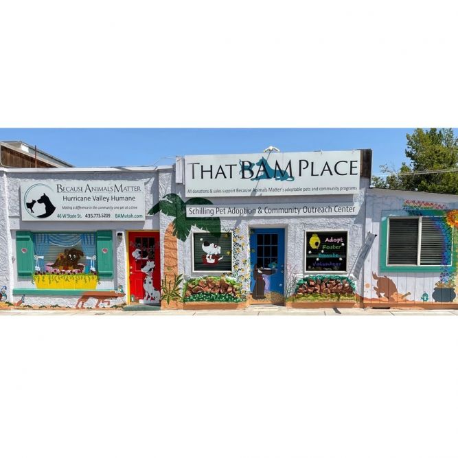 Because Animals Matter (BAM)