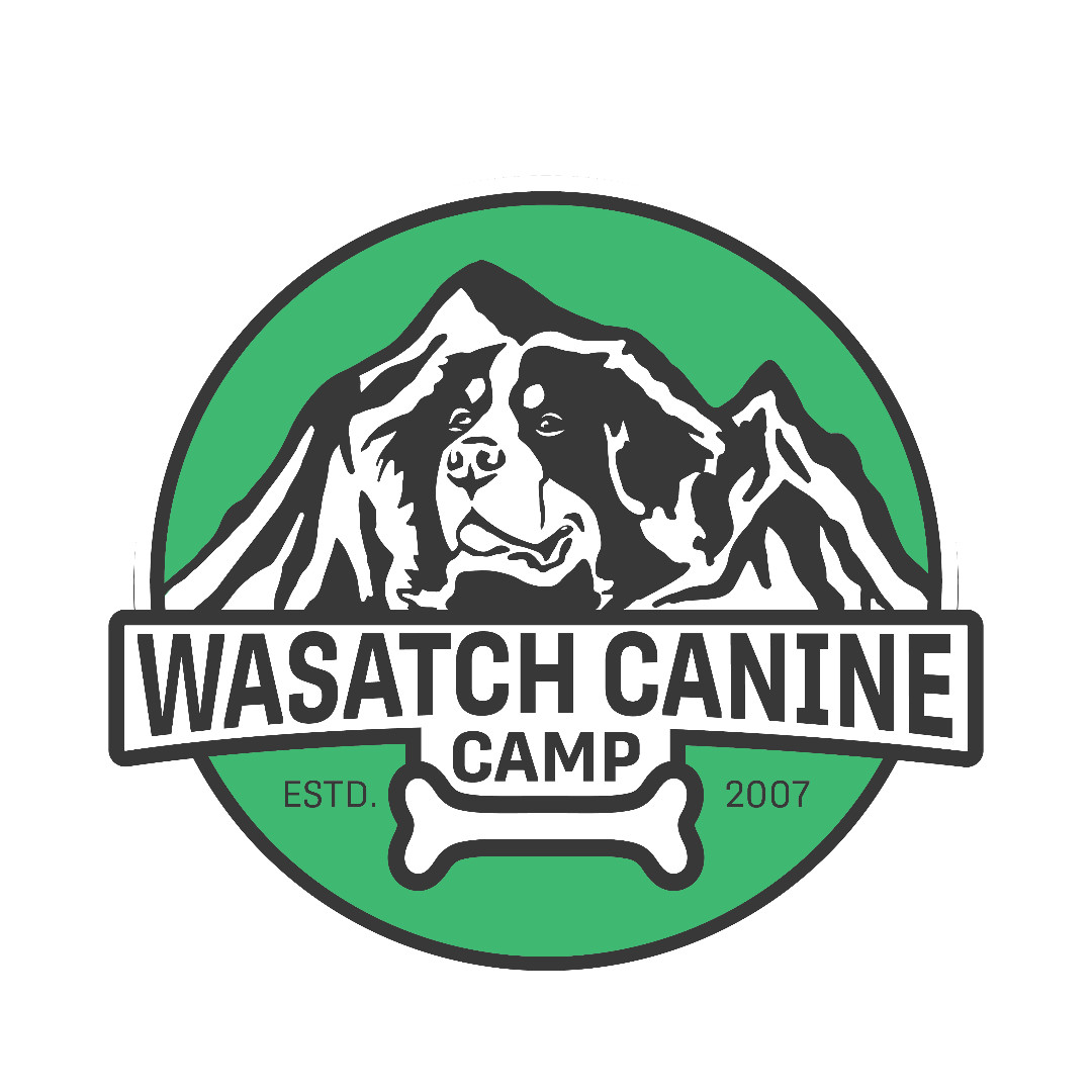 Wasatch Canine Camp