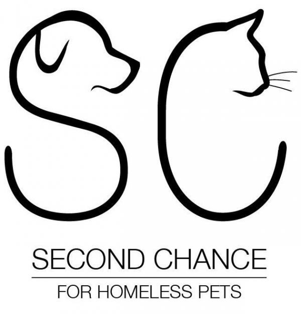 Second Chance for Homeless Pets