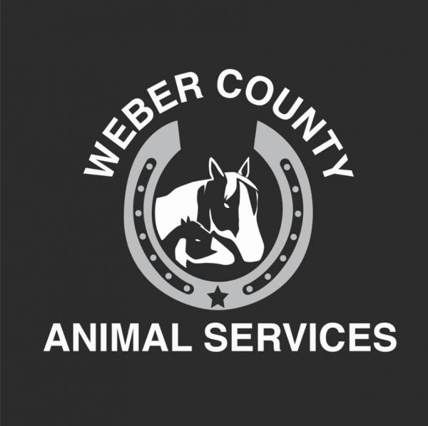 Weber County Animal Services