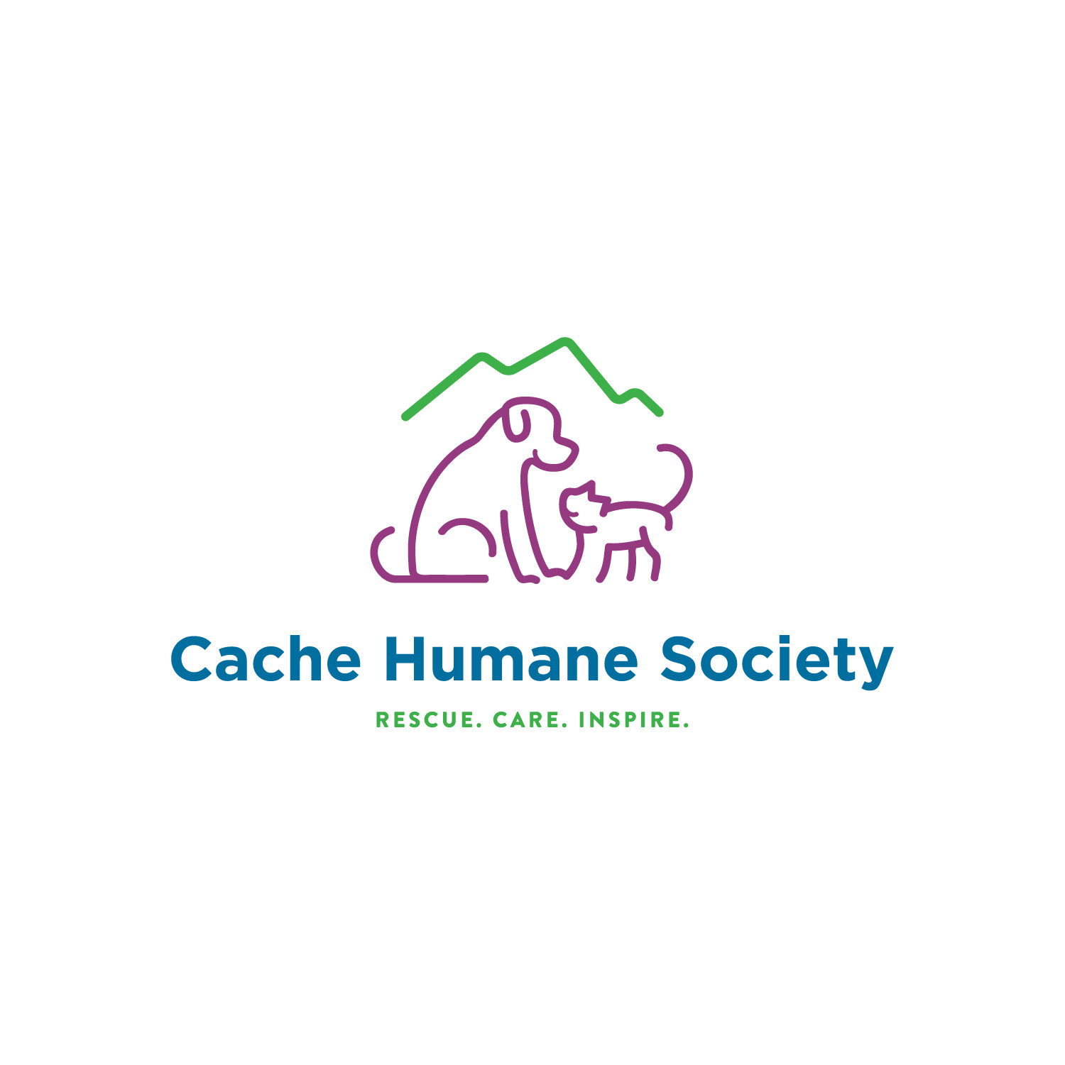 Cache humane society center for medicare and medicaid services powerpoint