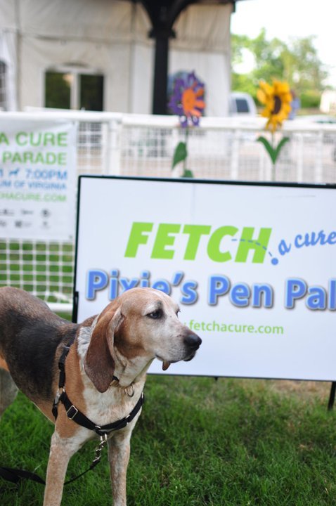 FETCH a Cure