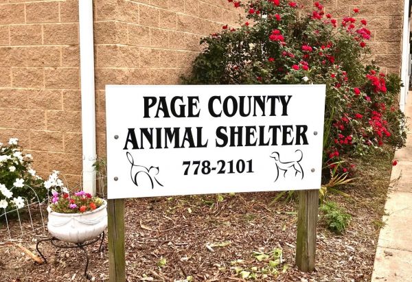 Page County Animal Shelter