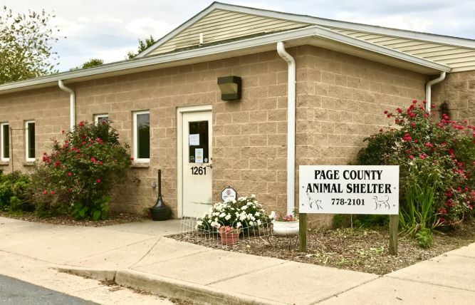 Page County Animal Shelter