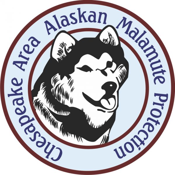 Chesapeake Area Alaskan Malamute Protection