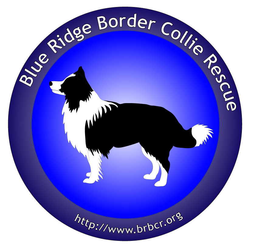 Blue Ridge Border Collie Rescue