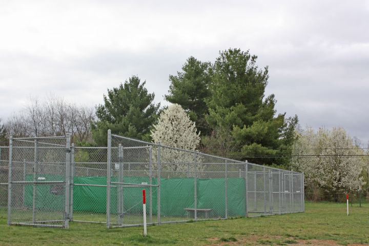 Outdoor play yards for dogs