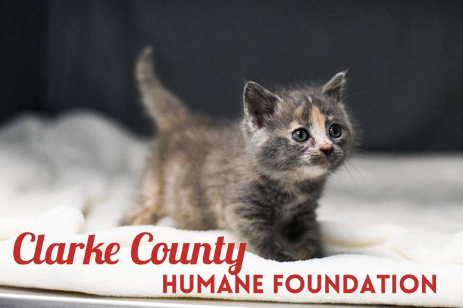 Clarke County Animal Shelter