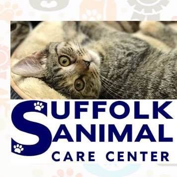 Suffolk Animal Control