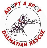 Adopt A Spot Dalmatian Rescue