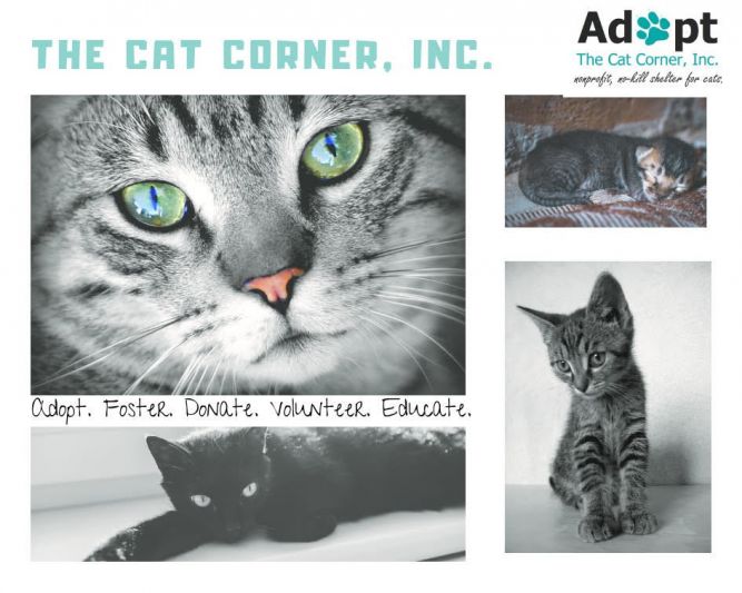 The Cat Corner, Inc.