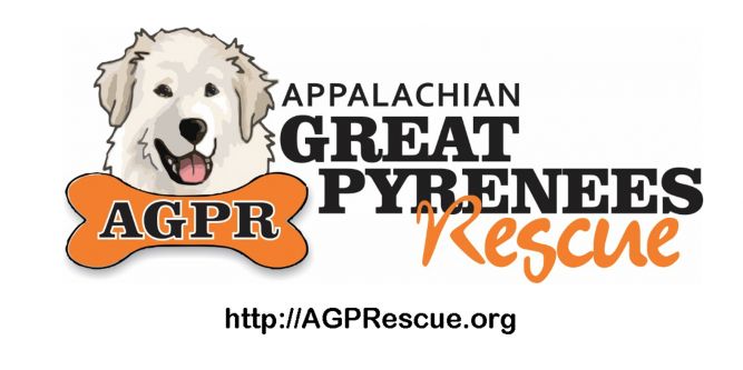 Appalachian Great Pyrenees Rescue