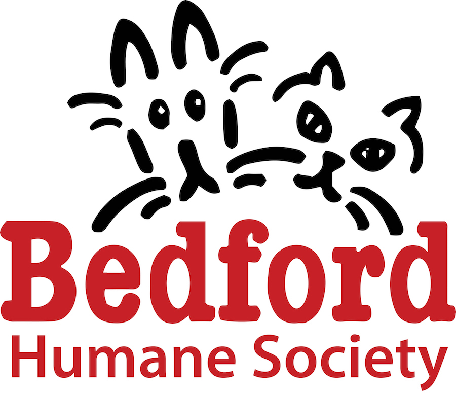 humane society bedford county