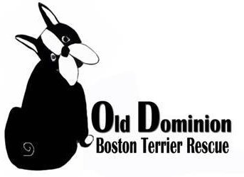 Old Dominion Boston Terrier Rescue