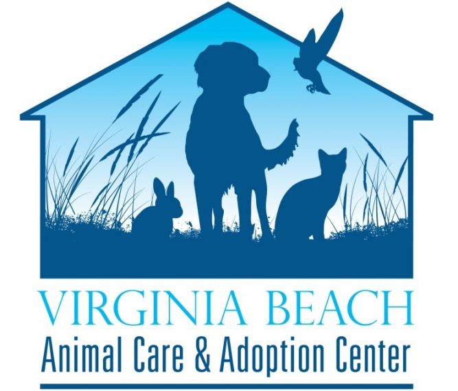 Dog Friendly Virginia Beach Va Bringfido