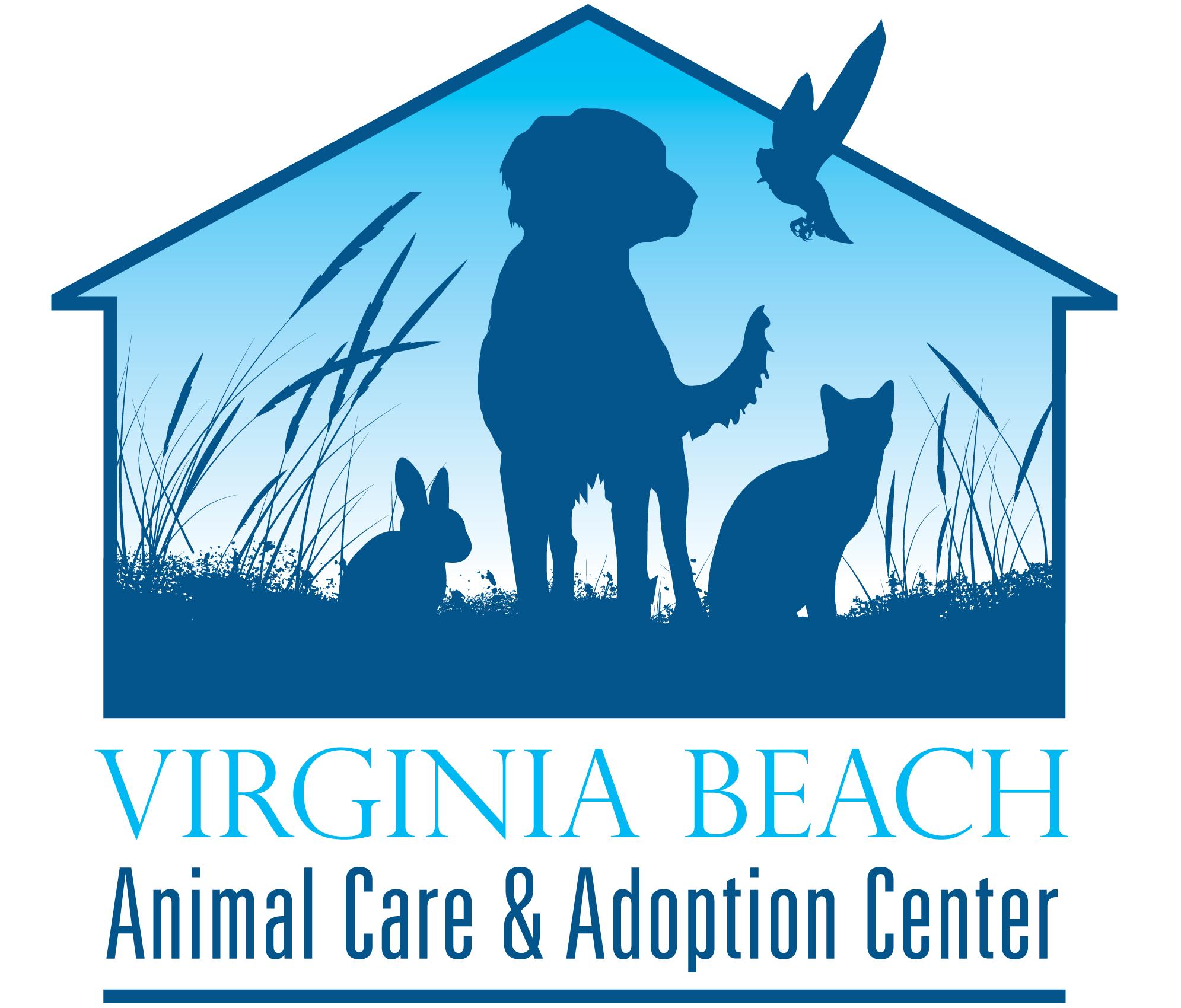 Pets for Adoption at Virginia Beach Animal Care and Adoption