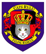 CATS RULE! Feline Rescue