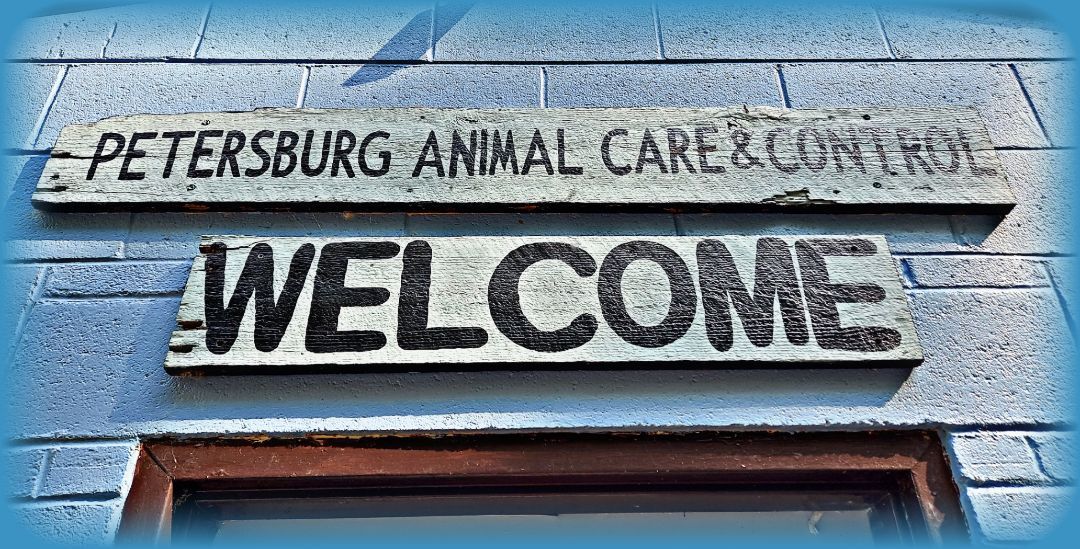 Petersburg Animal Care & Control
