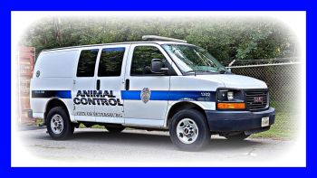 Pets for Adoption at Petersburg Animal Care & Control, in Petersburg